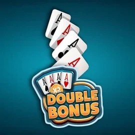 Double Double Bonus by Red Rake Gaming, showcased at rainsbet.eu – game logo
